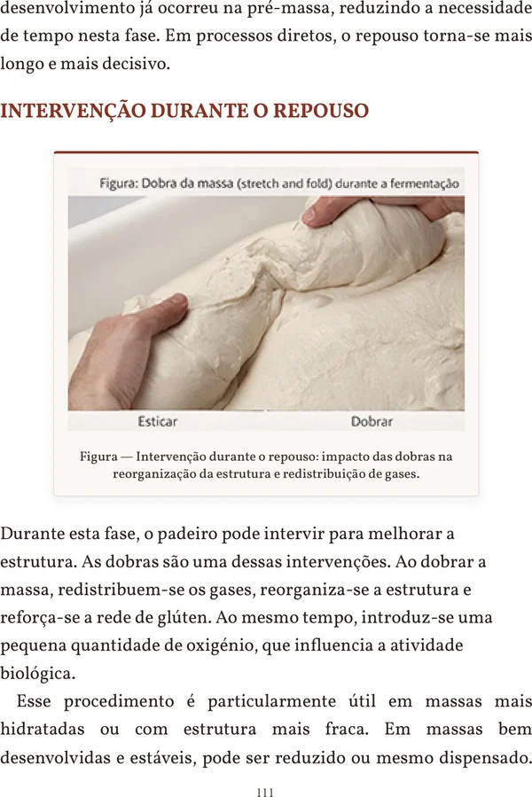 Página 111 - Temperatura e Tempo de Fermentação