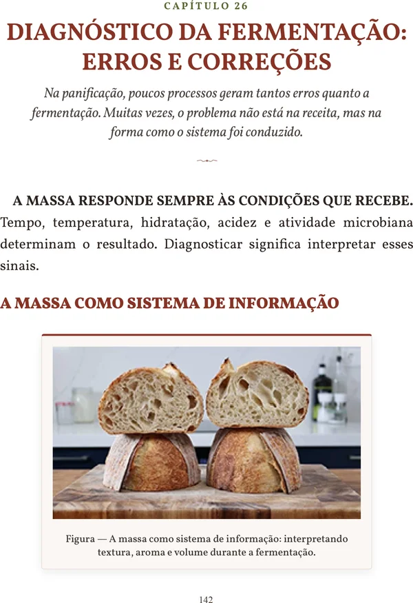Página 142 - Fermentação Natural (Levain)